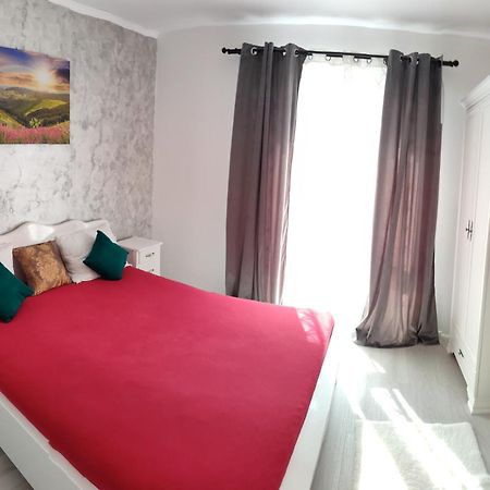 Apartament Gabriela Baia Mare Esterno foto