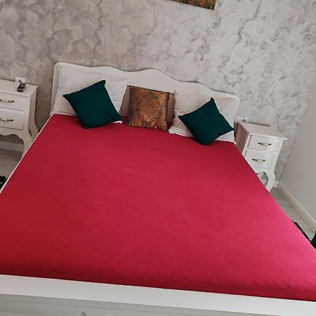 Apartament Gabriela Baia Mare Esterno foto